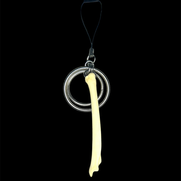 Steel Coyote Foot Bone Hoop Phone Charm