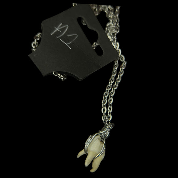 Steel Deer Tooth Necklace #A1