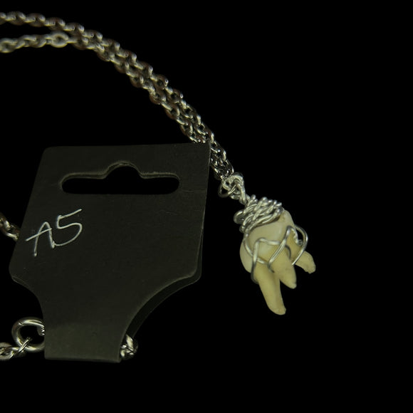 Steel Deer Tooth Necklace #A5