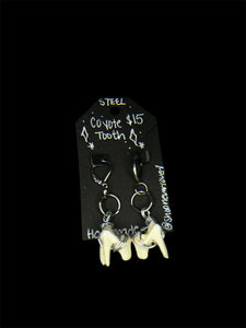 Steel Medium Coyote Teeth Earrings