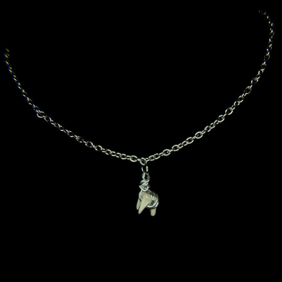 Steel Simple Raccoon Tooth Necklace