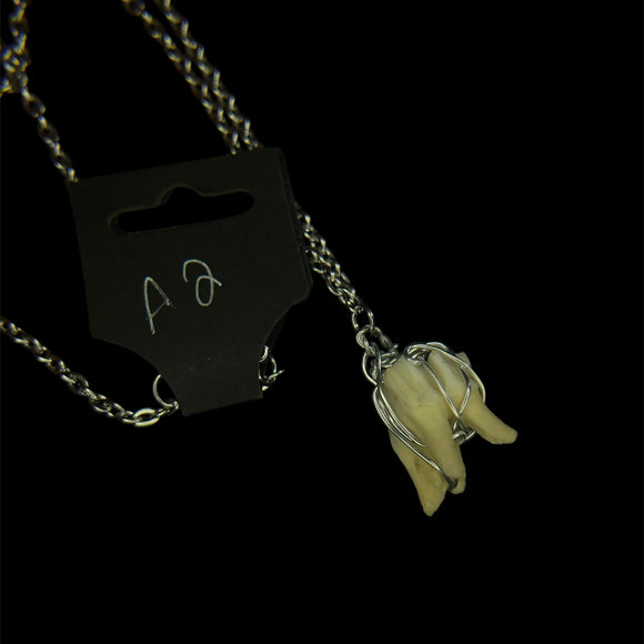 Steel Deer Tooth Necklace #A2