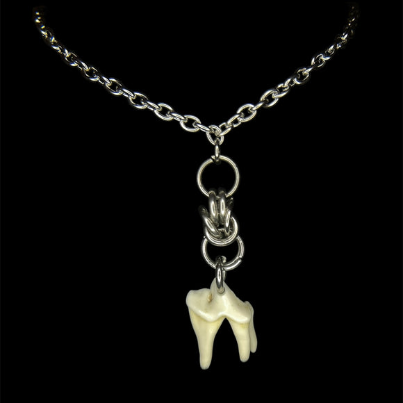 Steel Coyote Molar Chainmail Necklace