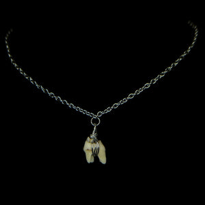 Steel Simple Deer Tooth Necklace