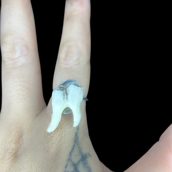 Steel Deer Molar Ring Plain Jane