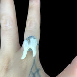 Steel Deer Molar Ring Plain Jane