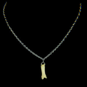 Steel Vertical Coyote Toe Bone Necklace