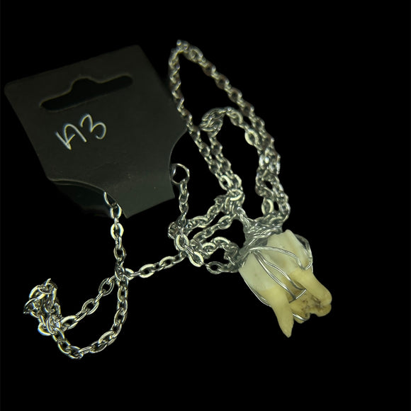 Steel Deer Tooth Necklace #A3