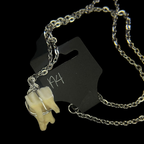 Steel Deer Tooth Necklace #A4
