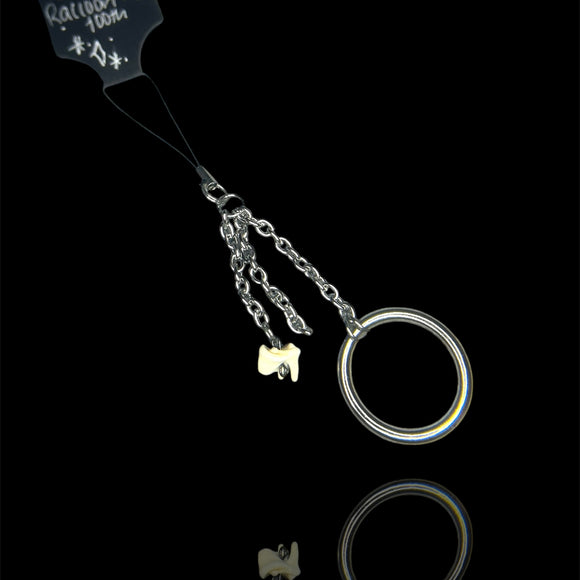 Steel Raccoon Tooth Circle Phone Charm