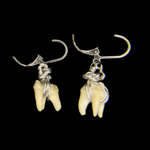 Steel Raccoon Teeth Earrings