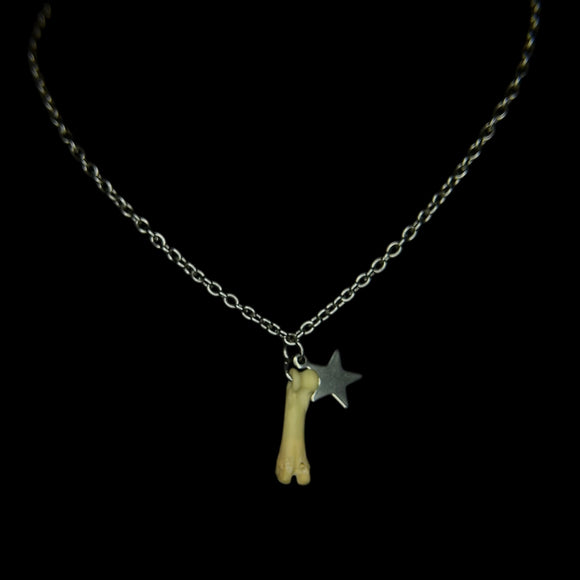 Steel Star Coyote Toe Necklace