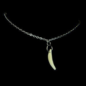 Steel Raccoon Tooth Necklace